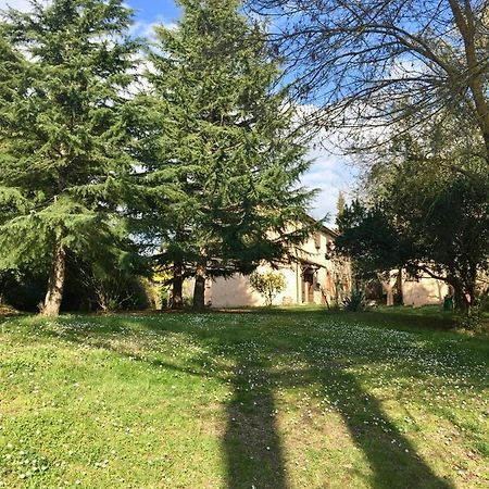 Agriturismo Bethsaid Fauglia ภายนอก รูปภาพ