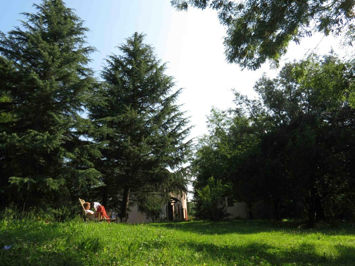Agriturismo Bethsaid Fauglia ภายนอก รูปภาพ