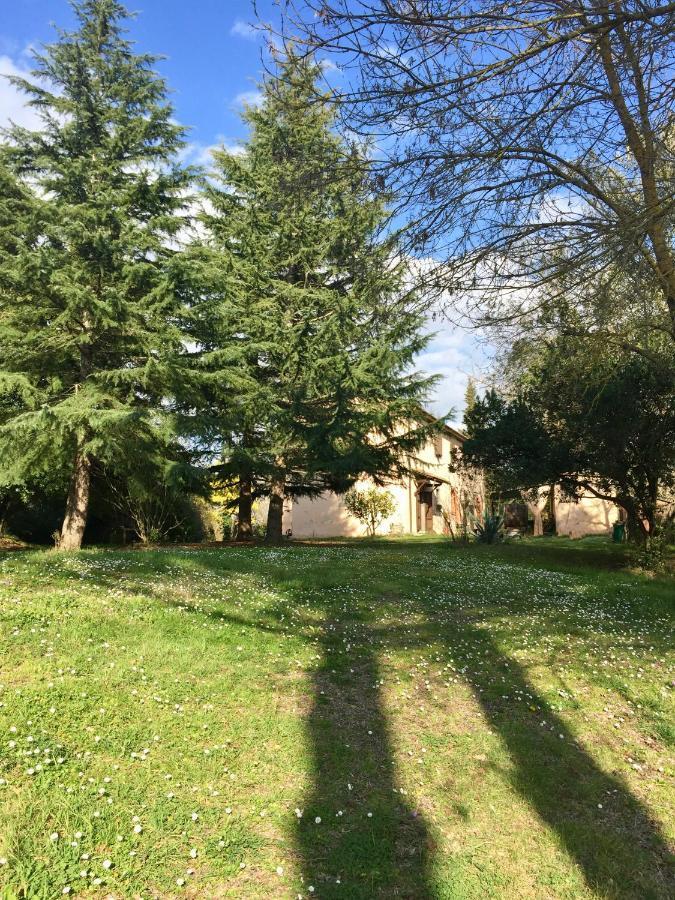 Agriturismo Bethsaid Fauglia ภายนอก รูปภาพ